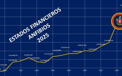 Estados Financieros ANFIBIOS 2025